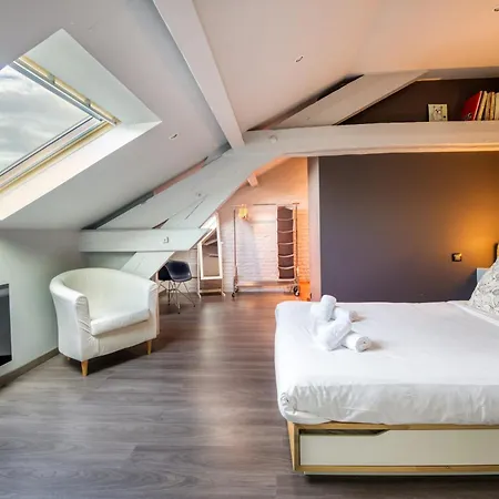 Duplex De 115m2 Dans Un Batiment Chic Historique - Le Belvedere St Nicolas