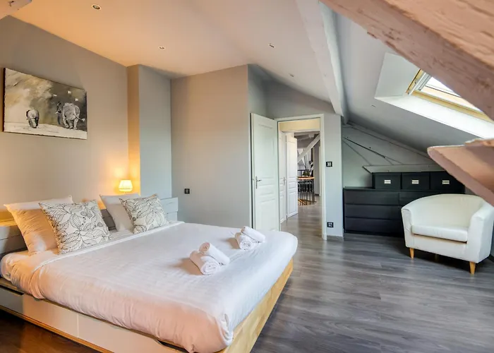 Duplex De 115m2 Dans Un Batiment Chic Historique - Le Belvedere St Nicolas