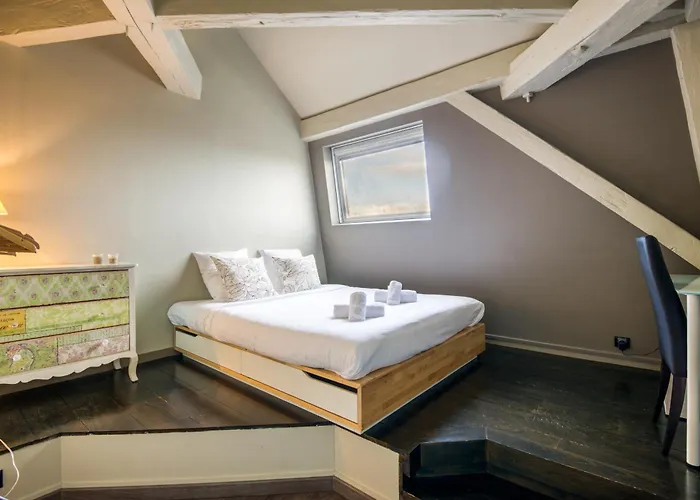 Apartment Duplex De 115m2 Dans Un Batiment Chic Historique - Le Belvedere St Nicolas