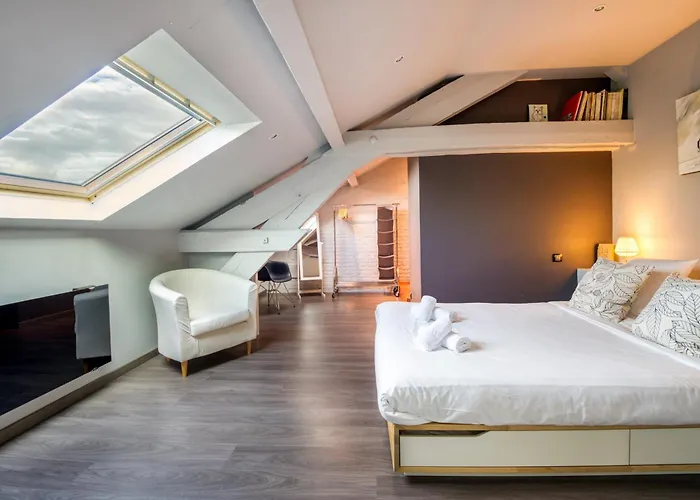 Duplex De 115m2 Dans Un Batiment Chic Historique - Le Belvedere St Nicolas